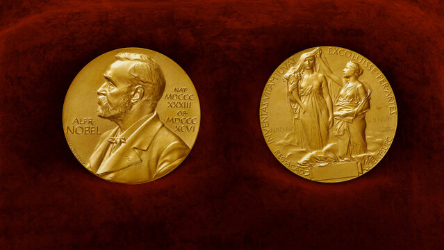 Major international awards and related fields