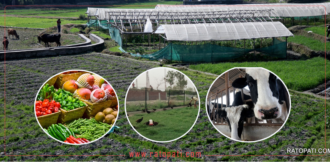 Key facts and figures related to the agricultural sector according to the Economic Survey 2081/82