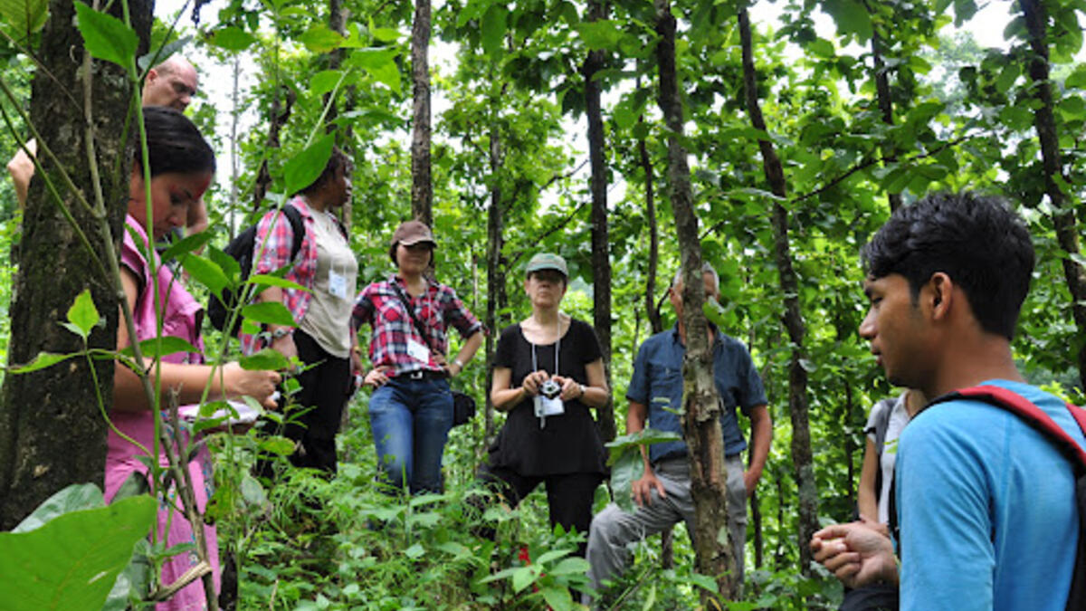 Important facts and figures of the forest sector according to the Economic Survey 2081/082
