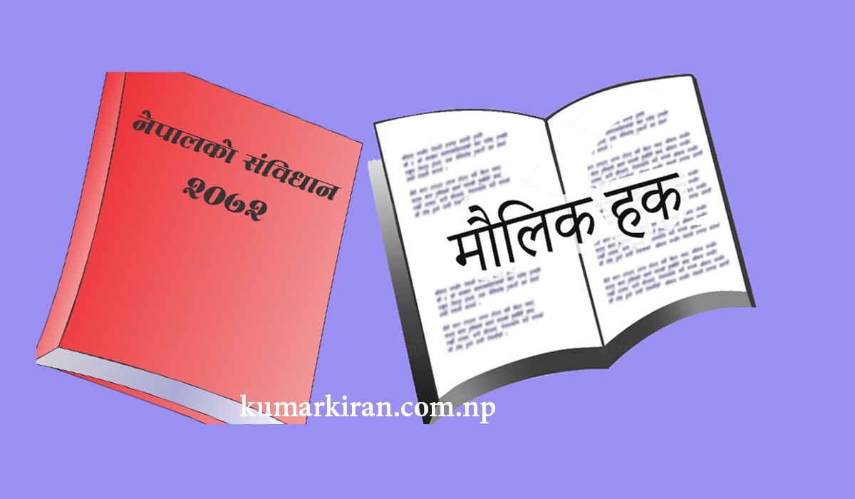 Fundamental rights and duties